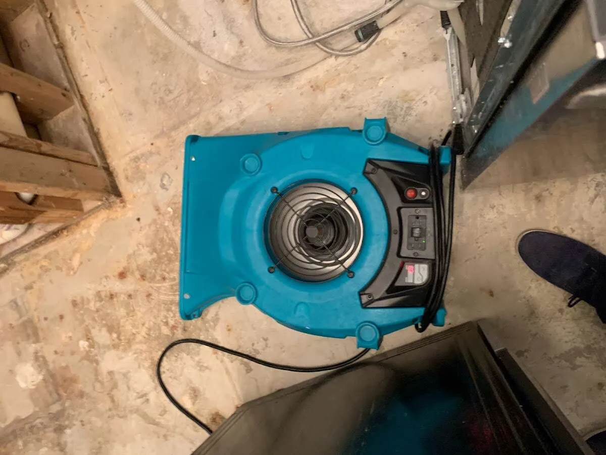 Air mover drying equipment for Mold Remediation & Removal in East Hampton